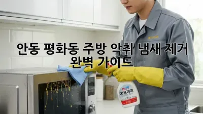 안동 평화동 주방 악취? 냄새 제거 완벽 가이드!